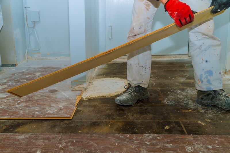 Floor Demolition