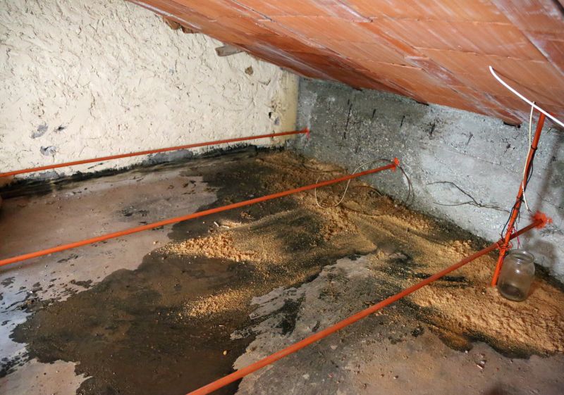 Crawl Space Remediation in Summerville, SC