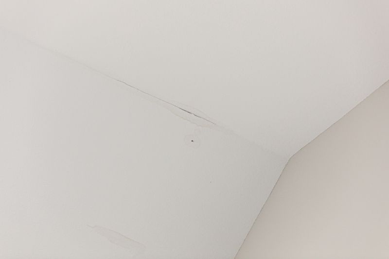 Leaking Ceiling Repair in Santa Rosa, CA